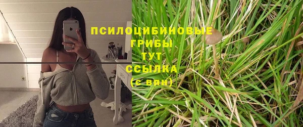 ГАЛЛЮЦИНОГЕННЫЕ ГРИБЫ Алексеевка