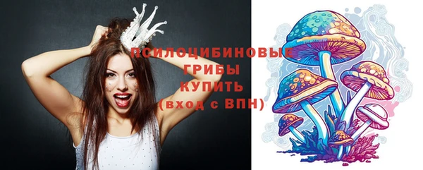 ГАЛЛЮЦИНОГЕННЫЕ ГРИБЫ Алексеевка