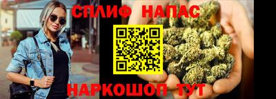 apvp Пушкино