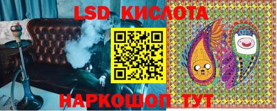 индика Пугачёв