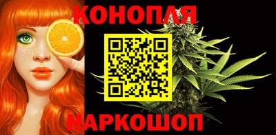 индика Пугачёв