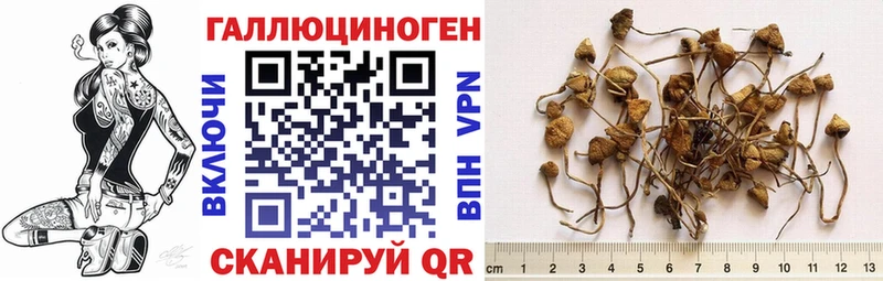 Галлюциногенные грибы прущие грибы  MEGA как зайти  Новоуральск  купить закладку 