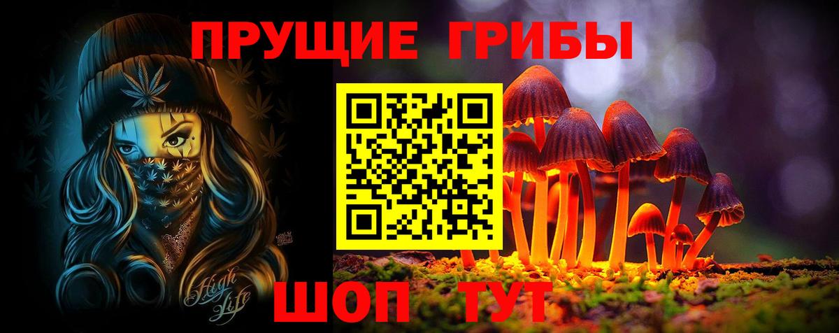 Псилоцибиновые грибы мицелий Новоуральск